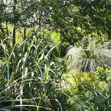 La Source Couette-café Saint-Cybranet